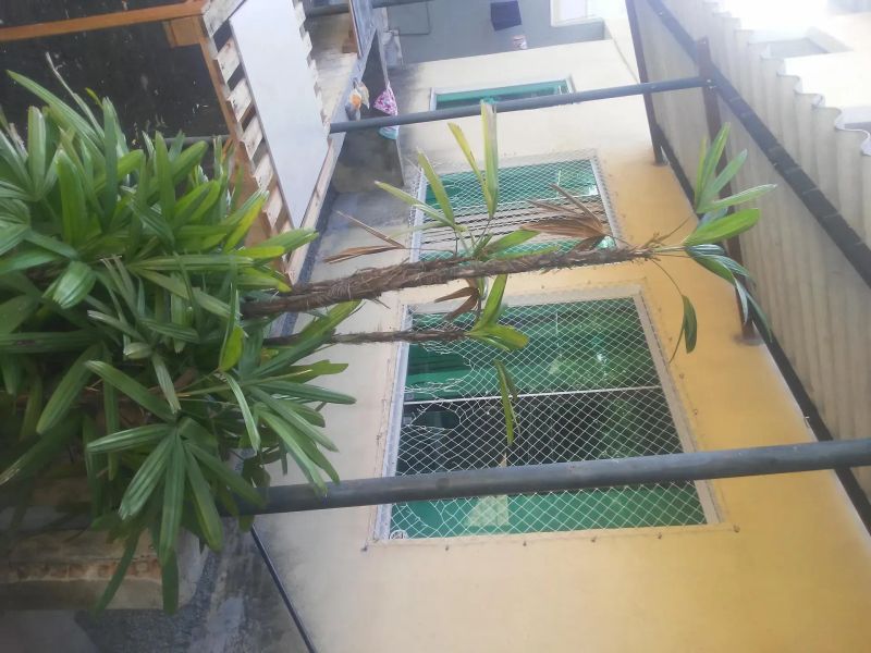 Foto 10