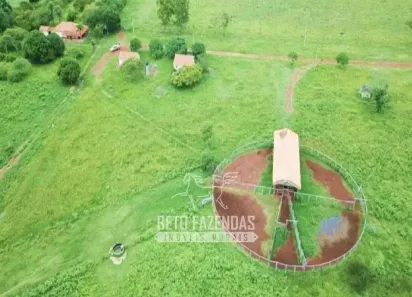 Fazenda/Sítio à venda, 833000000m² no , São Félix do Araguaia