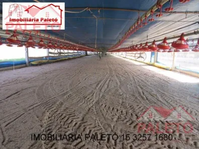Fazenda/Sítio com 3 Quartos à venda, 217800m² no Área Rural de Porangaba, Porangaba