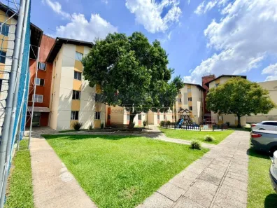 Apartamento com 2 Quartos à venda, 50m² no Parque da Fonte, São José dos Pinhais