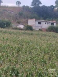 Fazenda/Sítio com 3 Quartos à venda, 270m² no Rural, Bom Sucesso