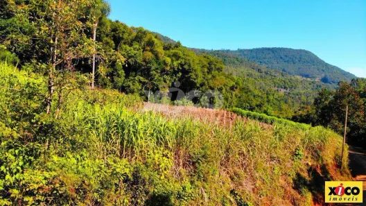 Lote/Terreno à venda, 5000m² no Nova Petrópolis, Nova Petrópolis