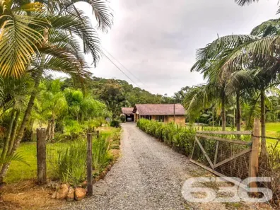 Fazenda/Sítio com 3 Quartos à venda, 176m² no Vila Nova, Joinville