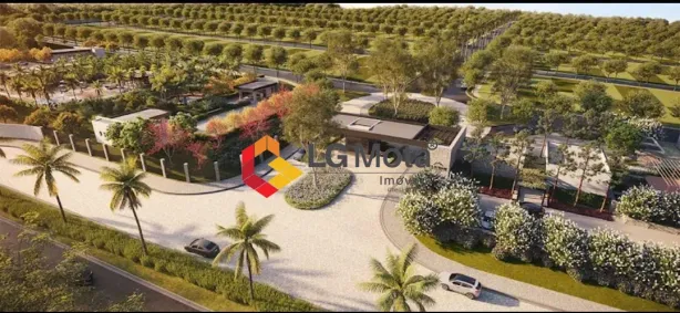 Lote/Terreno à venda, 250m² no Nossa Senhora Aparecida, Paulínia