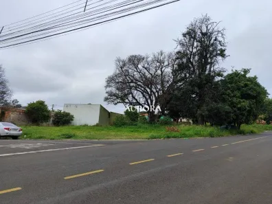 Lote/Terreno à venda, 1027m² no Conjunto Habitacional Maria Cecília Serrano de Oliveira, Londrina