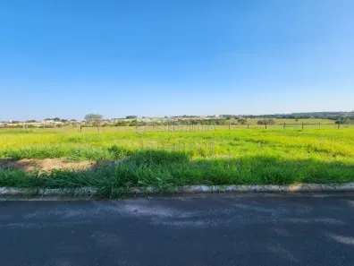 Lote/Terreno à venda, 220m² no Jardim Holambra, Cedral