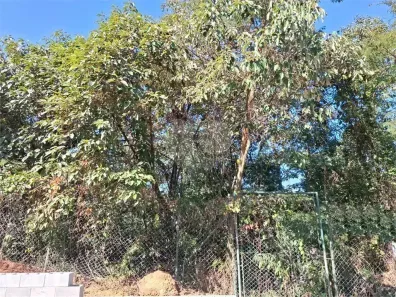 Lote/Terreno à venda, 4113m² no Jardim Peri, São Paulo