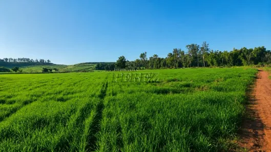 Lote/Terreno à venda, 20000m² no Poço Bonito, Ibiporã