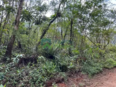 Lote/Terreno à venda, 3951m² no São João da Graciosa, Morretes
