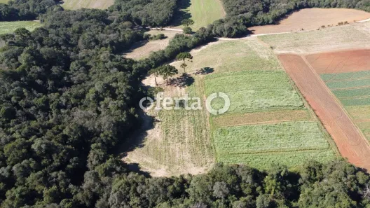 Fazenda/Sítio à venda, 23100m² no Centro, Araucária