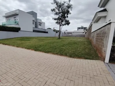 Lote/Terreno à venda, 519m² no Centro, Foz do Iguaçu
