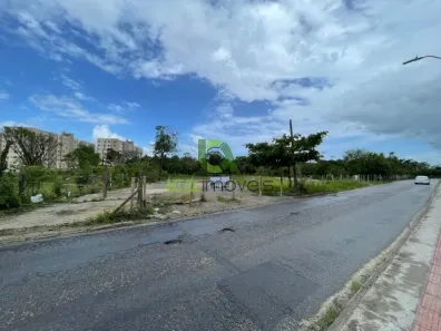 Lote/Terreno para alugar, 6981m² no Bela Vista, Palhoça