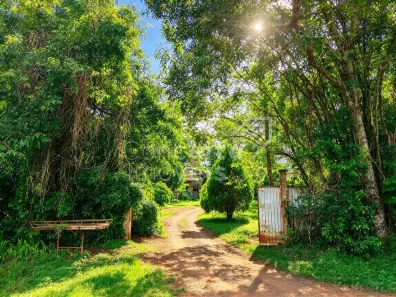 Lote/Terreno à venda, 5000m² no Colônia Dona Luíza, Ponta Grossa