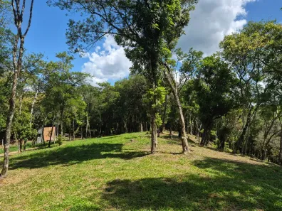 Fazenda/Sítio à venda, 20000m² no Bateias de Baixo, Campo Alegre