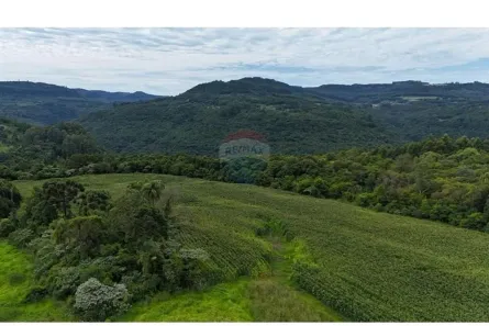 Fazenda/Sítio à venda, 120000m² no Área Rural de Gramado, Gramado