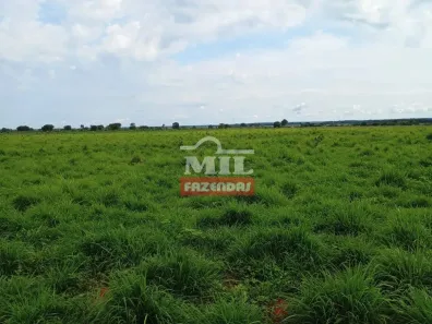 Fazenda/Sítio à venda, 500m² no , Formoso do Araguaia