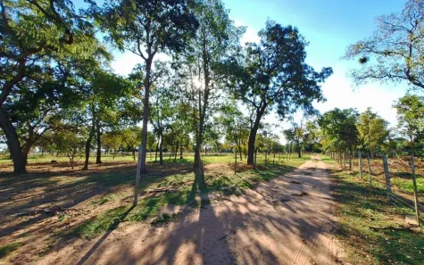 Fazenda/Sítio com 6 Quartos à venda, 10000m² no Chácara das Mansões, Campo Grande