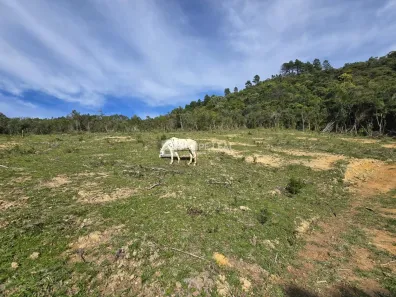 Lote/Terreno à venda, 21000m² no Taquaras, Rancho Queimado
