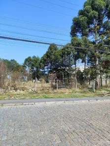 Lote/Terreno à venda, 1038m² no Guatupê, São José dos Pinhais