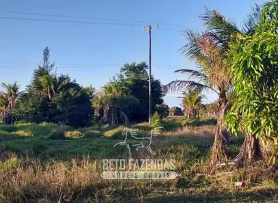 Fazenda/Sítio à venda, 2758800m² no Centro, Quissamã