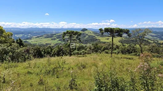 Lote/Terreno à venda, 80000m² no , Alfredo Wagner