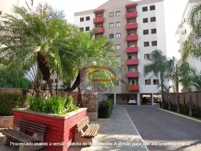 Apartamento com 3 Quartos para alugar, 75m² no Vila Redentora, São José do Rio Preto