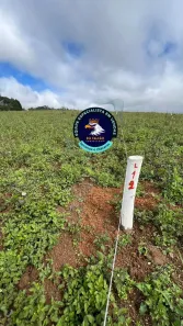 Lote/Terreno à venda, 500m² no Recreio Topázio (Caucaia do Alto), Cotia