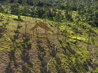 Fazenda/Sítio à venda, 121000m² no , Guareí