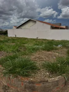 Lote/Terreno à venda, 450m² no Universitário, São José do Rio Preto