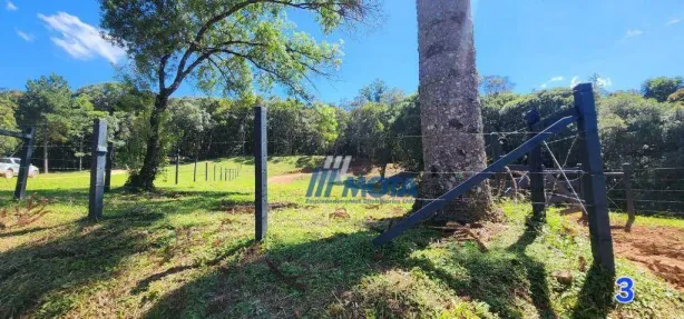 Fazenda/Sítio à venda, 20326m² no Área Rural de Campo Largo, Campo Largo