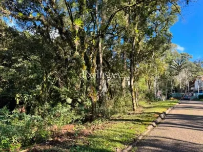 Lote/Terreno à venda, 592m² no Caracol, Canela