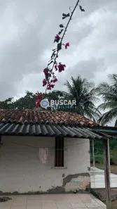Fazenda/Sítio com 2 Quartos à venda, 13182m² no SIM, Feira de Santana