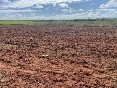 Fazenda/Sítio com 3 Quartos à venda, 3091000m² no , Touros