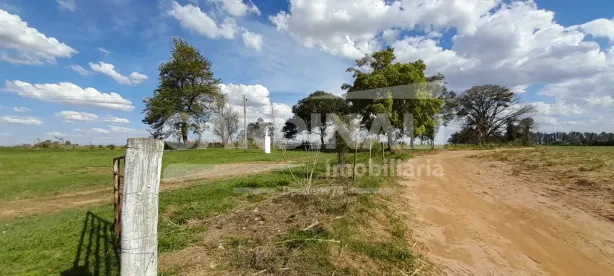 com 2 Quartos à venda, 242000m² no , Descalvado