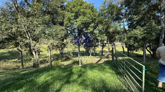 Lote/Terreno à venda, 3215m² no Santo Antônio, Campo Alegre
