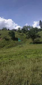 Fazenda/Sítio à venda, 1m² no , Cunha
