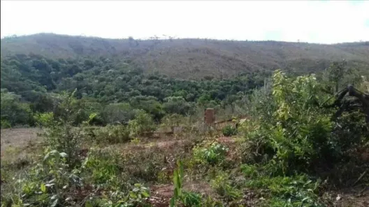 Fazenda/Sítio com 1 Quarto à venda, 100000m² no , Caeté