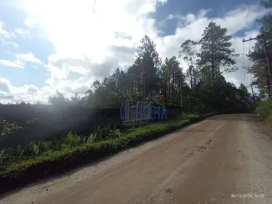 Lote/Terreno à venda, 3300m² no Jardim dos Eucaliptos, São Paulo