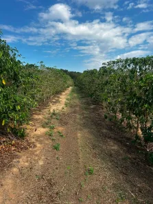 Fazenda/Sítio com 1 Quarto à venda, 33880m² no , Monte Santo de Minas