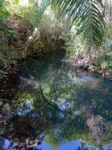 Fazenda/Sítio com 1 Quarto à venda, 260000m² no , Nossa Senhora do Livramento