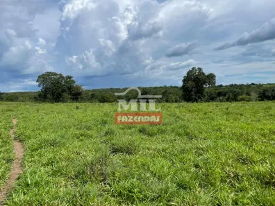 Fazenda/Sítio à venda, 1m² no , São Miguel do Araguaia