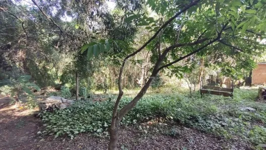 Lote/Terreno à venda, 2392m² no Jardim São Luiz, Limeira
