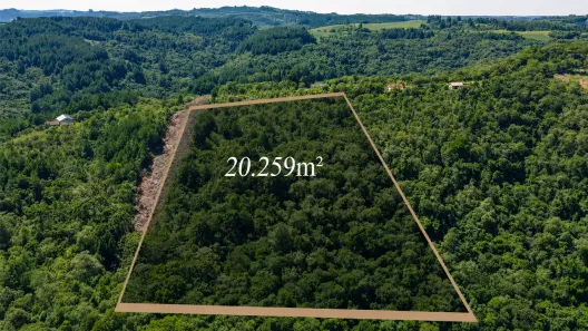 Lote/Terreno à venda, 20259m² no Centro, Campo Magro