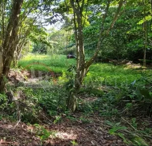 Lote/Terreno à venda, 3118m² no , Ilhabela