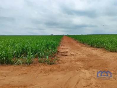 Fazenda/Sítio com 1 Quarto à venda, 1016400m² no Área Rural de Itapetininga, Itapetininga