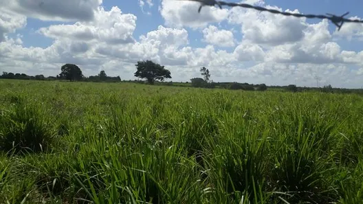 Fazenda/Sítio com 3 Quartos à venda, 1420000m² no , Vera Cruz
