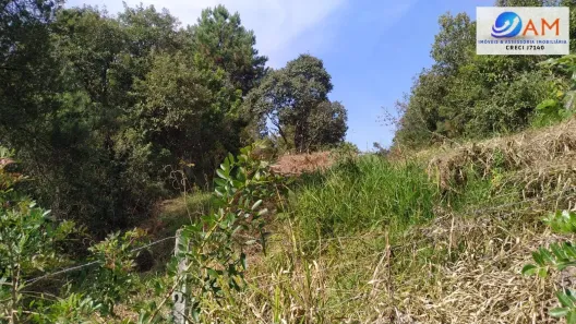 Lote/Terreno à venda, 960m² no Vila Torres, Campo Largo