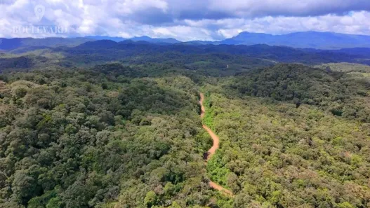Fazenda/Sítio à venda, 20000m² no Vila Santa Terezinha, Almirante Tamandaré