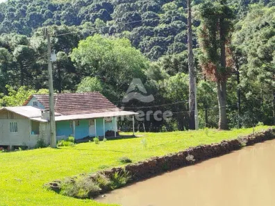 Fazenda/Sítio com 3 Quartos à venda, 110m² no , São Joaquim