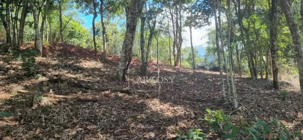 Lote/Terreno à venda, 902m² no Bonsucesso, Petrópolis